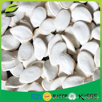 wholesale snow white pumpkin seeds for sale